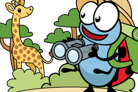 Kriki wild life Maarkedal (6-10/07/2026) © Kriebelkampen / Creafant vzw