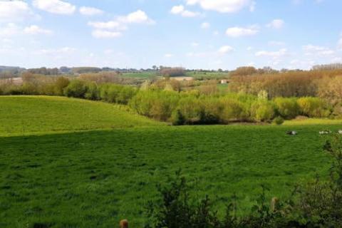 Landschaps- en natuurwandeling te Schorisse © MOW