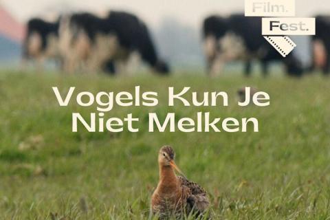 Vogels kan je niet melken © Public Domain Dedication
