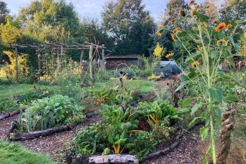 Voedselbos- bezoek © Velt Scheldevallei