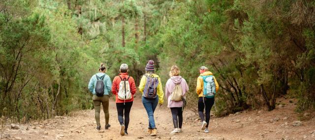 Energy to walk - Vlaamse Ardennen - Etikhove © Markant