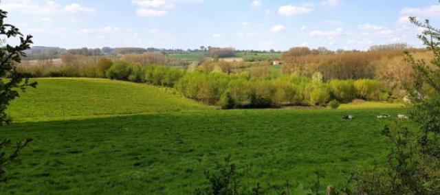 Landschaps- en natuurwandeling te Schorisse © MOW