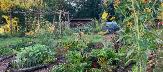 Voedselbos- bezoek © Velt Scheldevallei